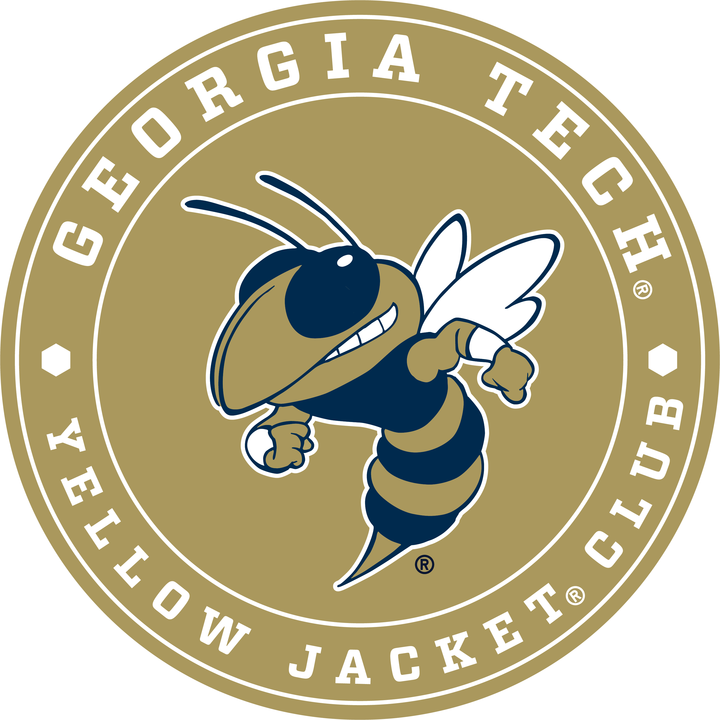 Georgia Institute of Technology